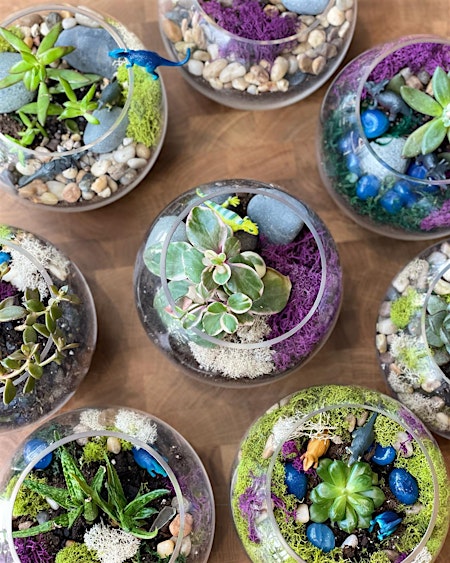 Succulent Planting Workshop