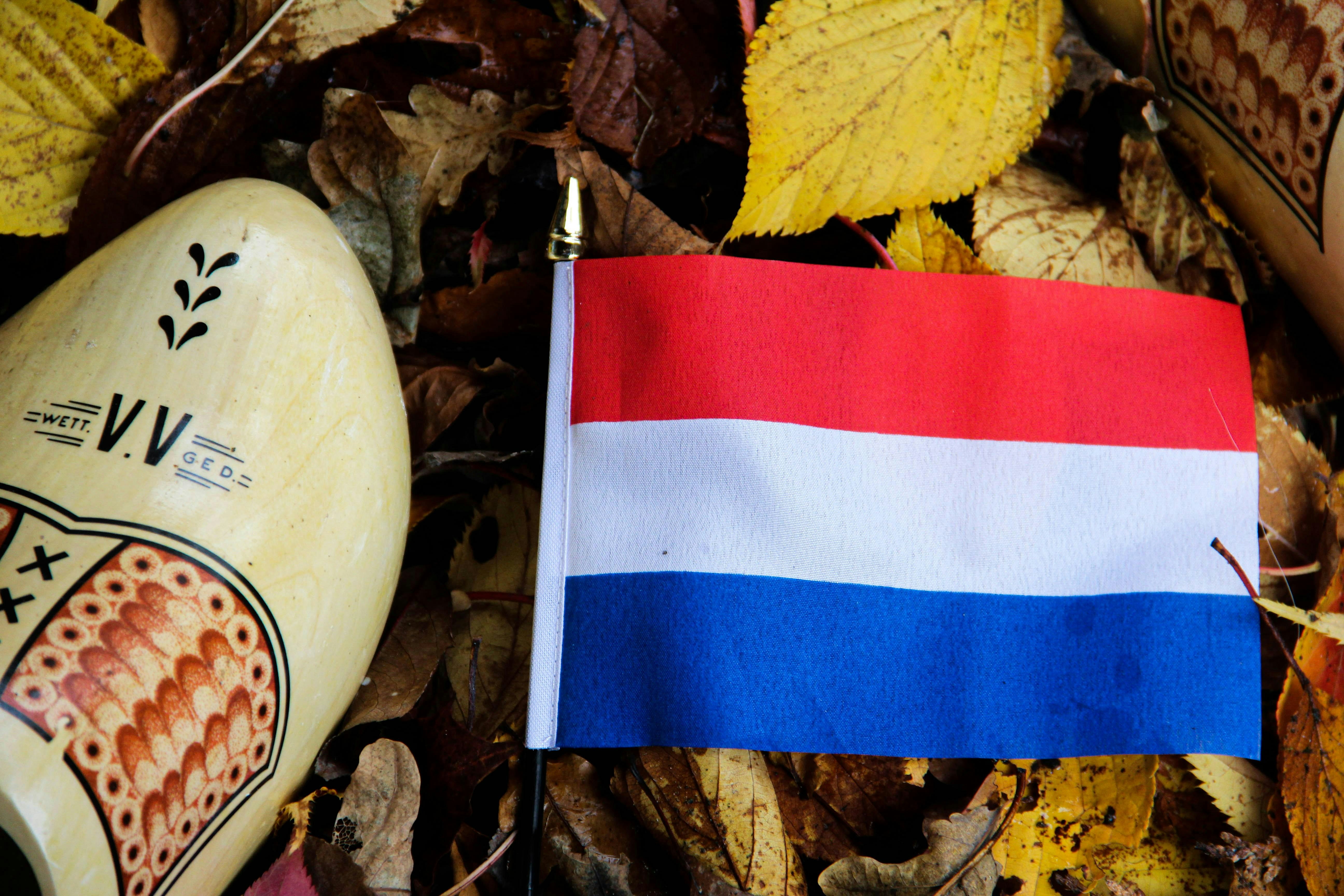 Duolingo+Nederlands in Gang  Newcomers Learn Dutch highly educated expats