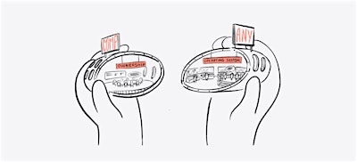 Explore the concept of Steward-ownership