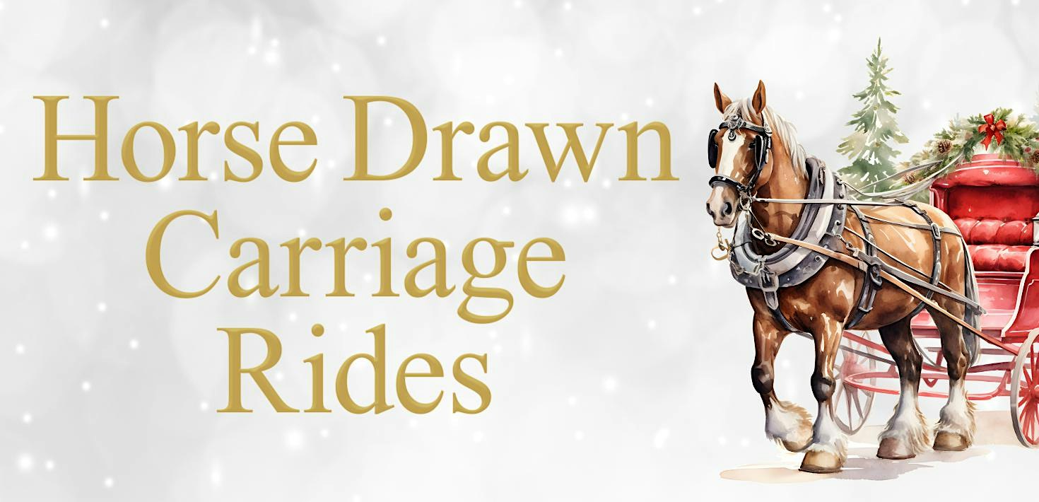 Horse Drawn Carriage Rides