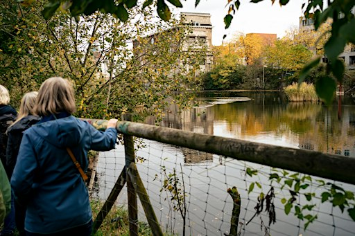 Marais Wiels : quand le patrimoine industriel rencontre la nature