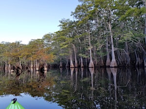 Apalachicola River and Floodplain Exploration