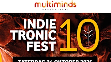 INDIETRONIC fest 10