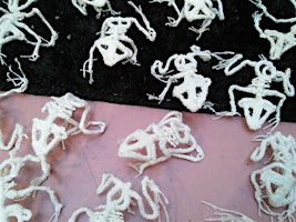 Knitting frogs