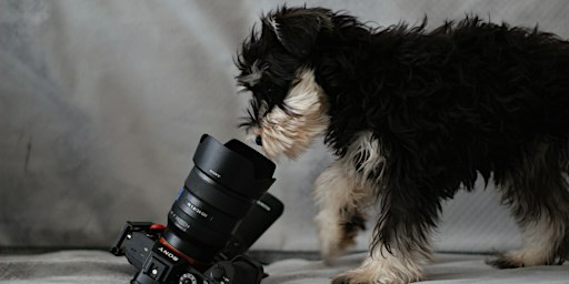 Gratis fotoshoot - Kersteditie