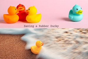 An Art Installation and Exhibition - “Saving a Rubber Ducky”