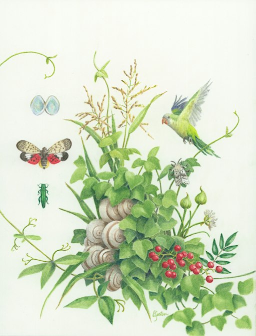 INVASIVE SPECIES 2: Literary Panel and Open Mic Night