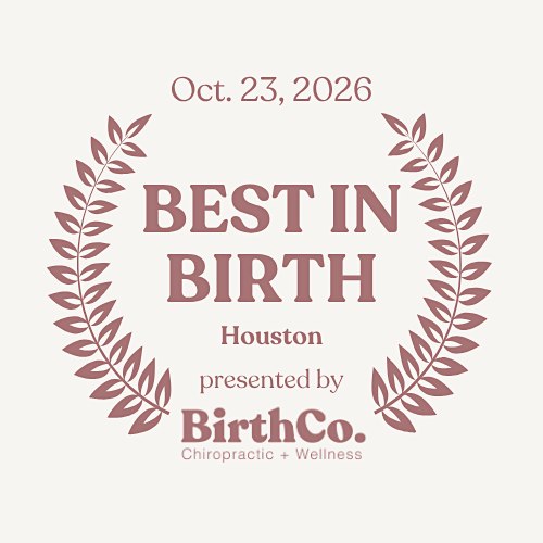 2nd Annual Best In Birth Houston