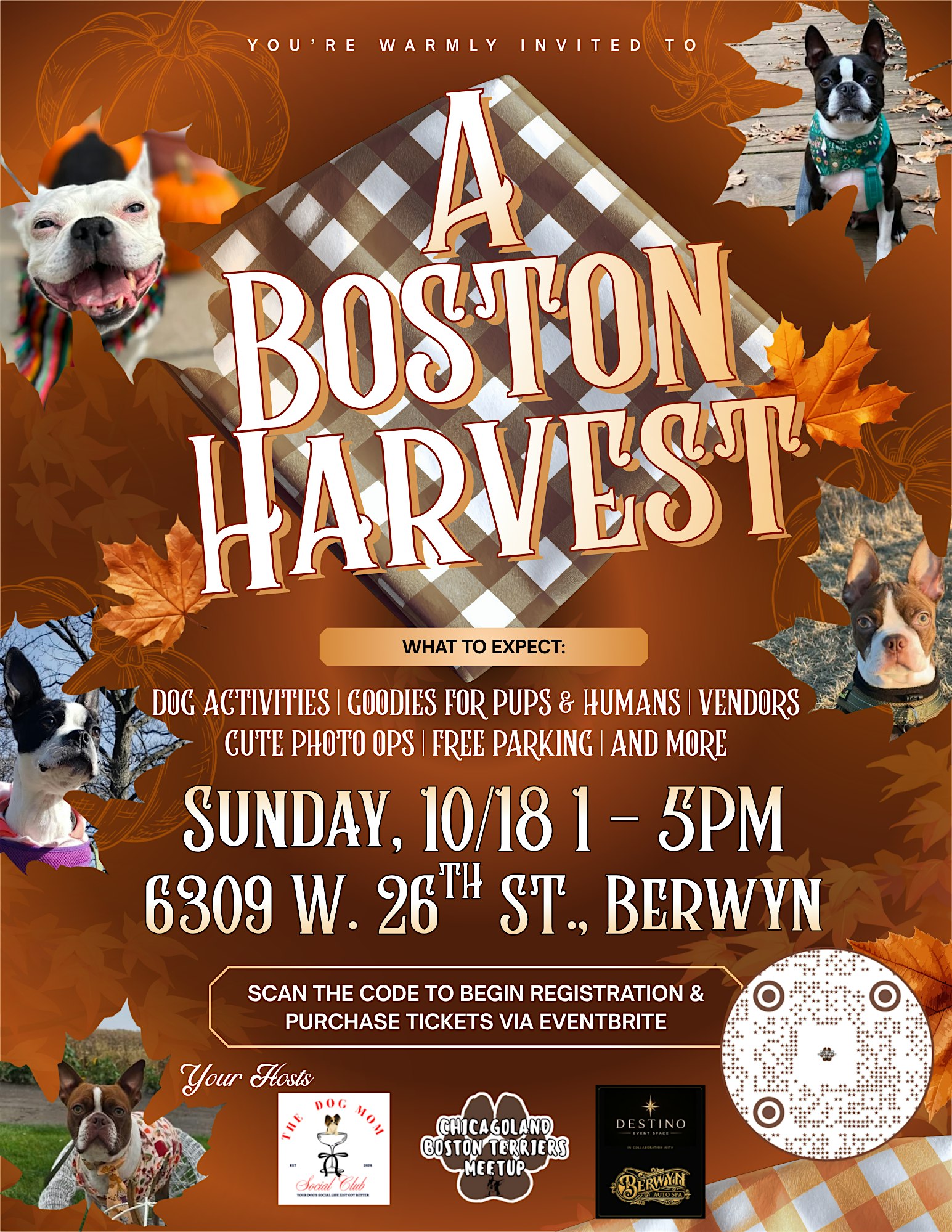 A Boston Harvest