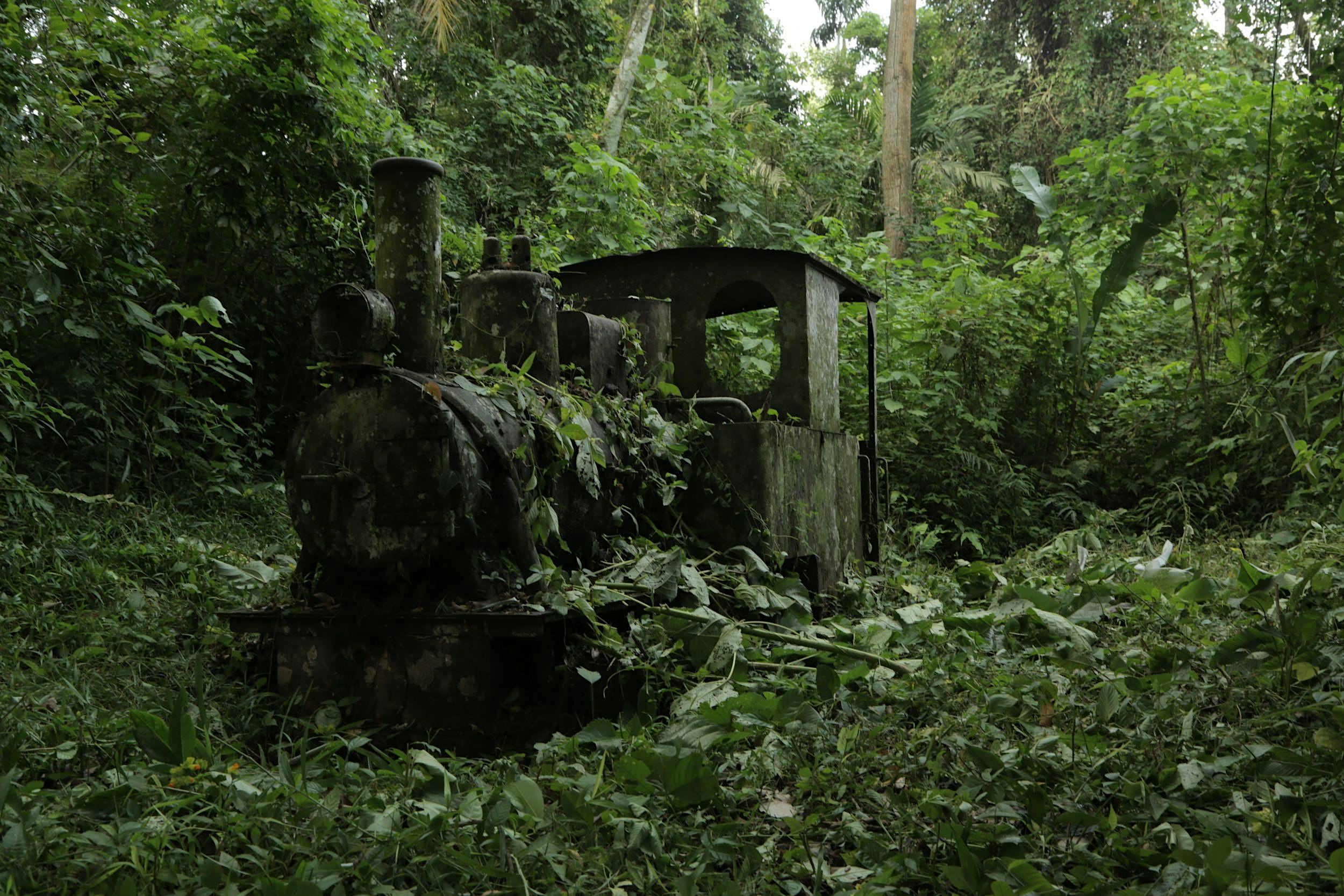 Tierra adentro