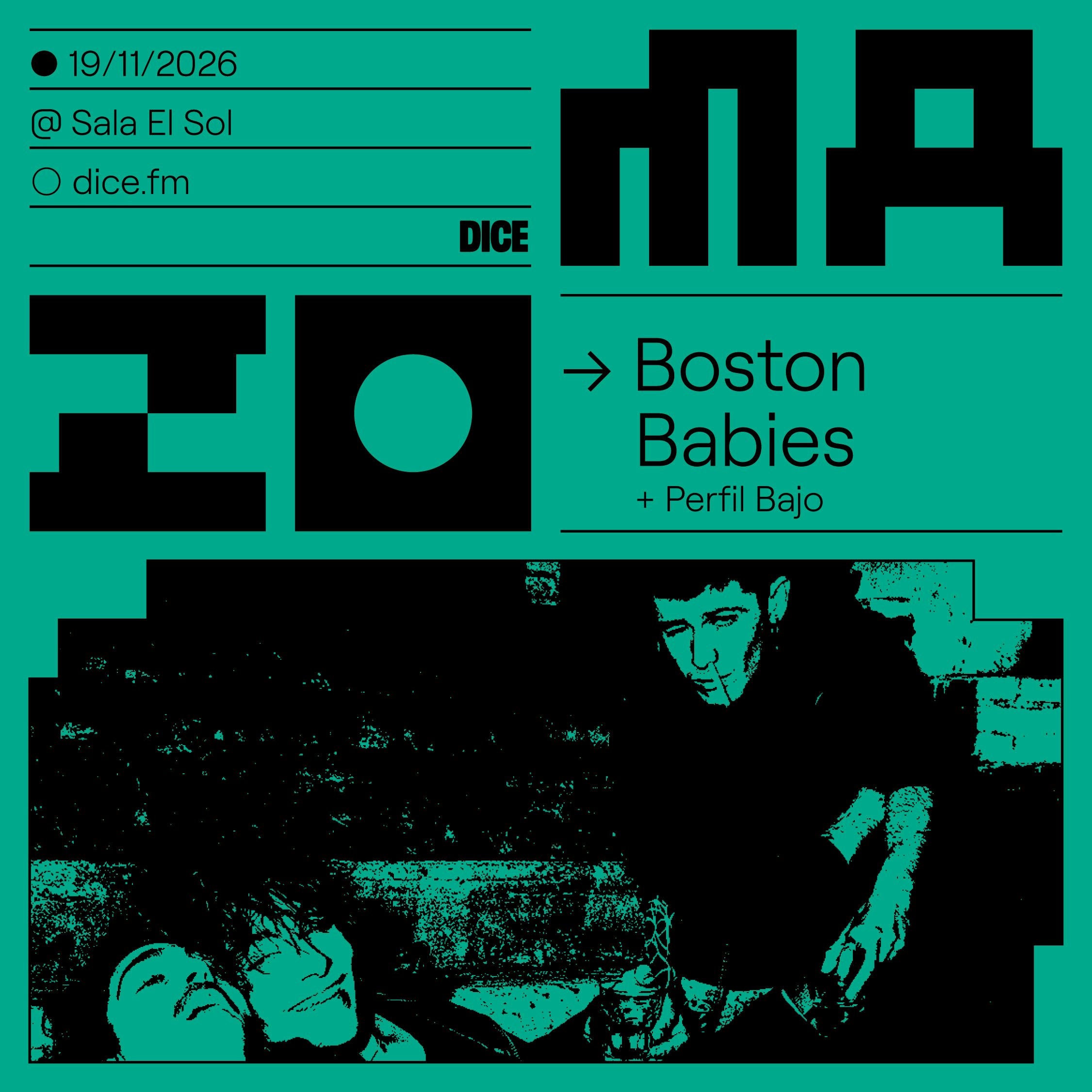 Boston Babies + Perfil Bajo en MAZO