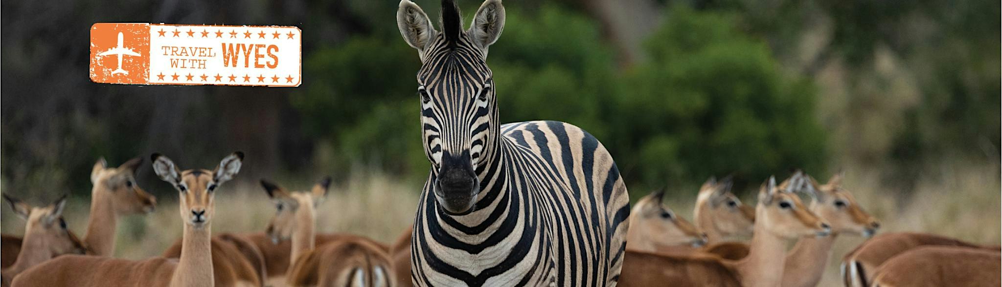 Iconic South Africa with WYES