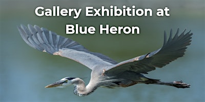 Gallery Night on the Preserve