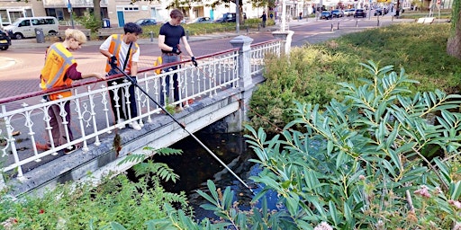 Singel-cleanup tijdens opruimevent Crooswijk