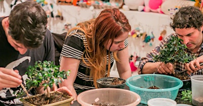 Bonsai for Beginners: Hands-On Workshop
