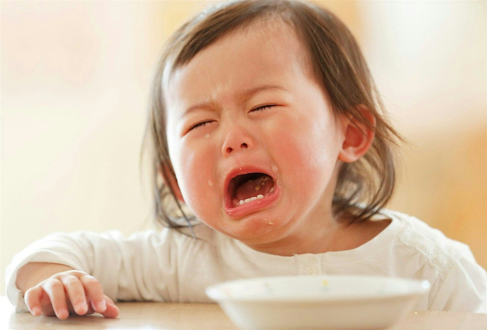 The Terrible Two : Understanding and Supporting Your Child with Care