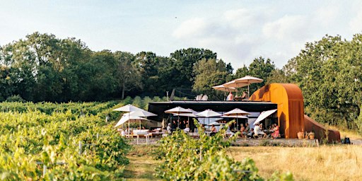 Wraxall Vineyard Harvest Festival Weekend: SUNDAY TICKET