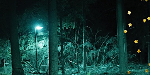 Nacht van de Nacht wandeling op 24 oktober in  Broekpolder Vlaardingen