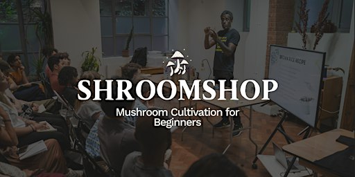 The Shroomshop: Mushroom Cultivation for Beginners