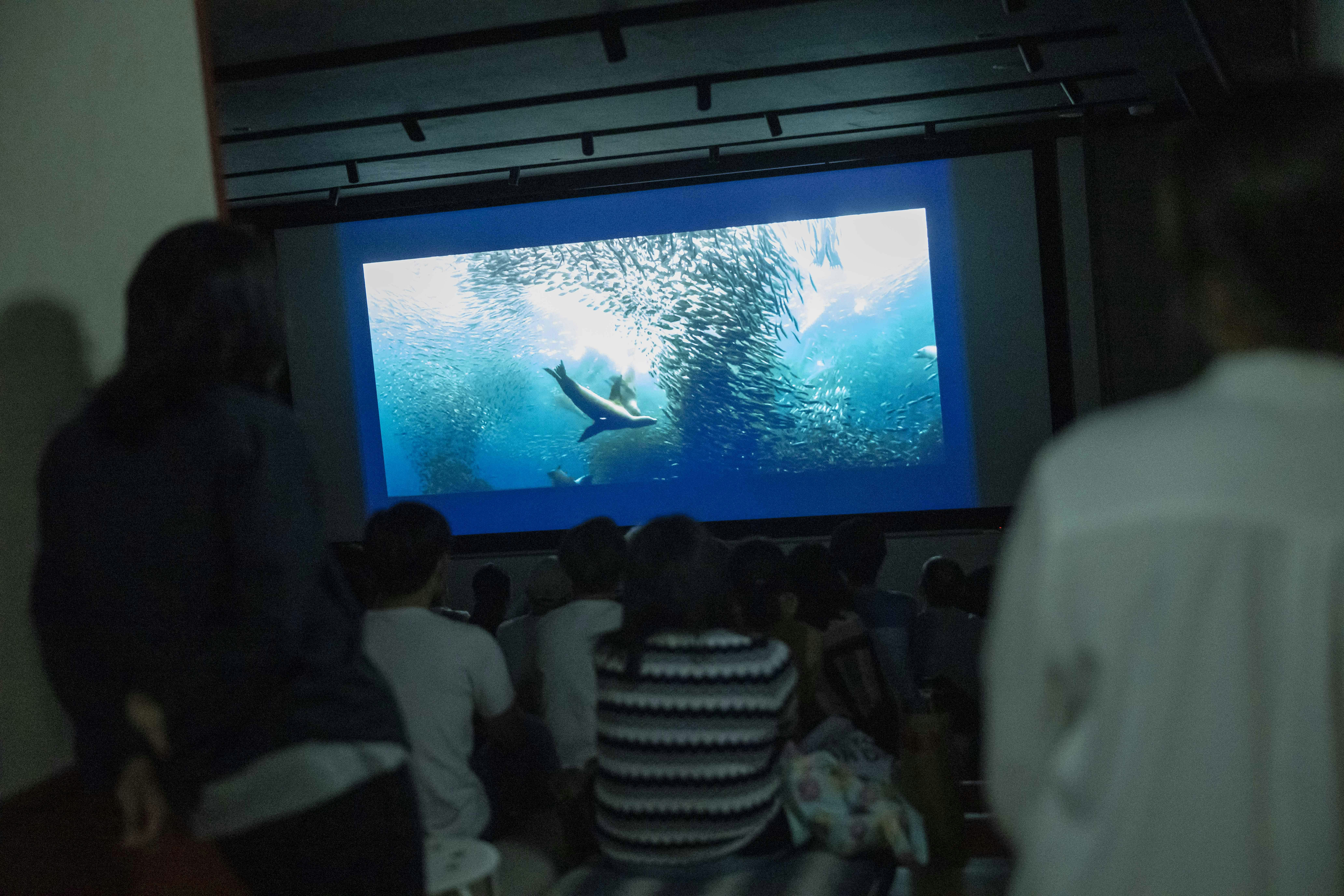 Weekend Documentary Screenings 周末紀錄片放映會