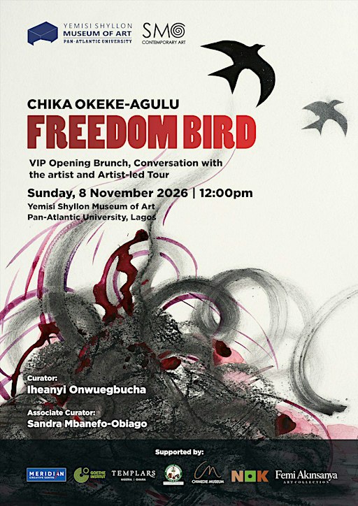 VIP Opening - Chika Okeke-Agulu: Freedom Bird