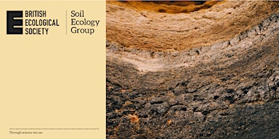 Soil Ecology in Practice