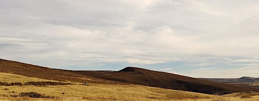 Why Not Glossop? Wilding the Dark Peak