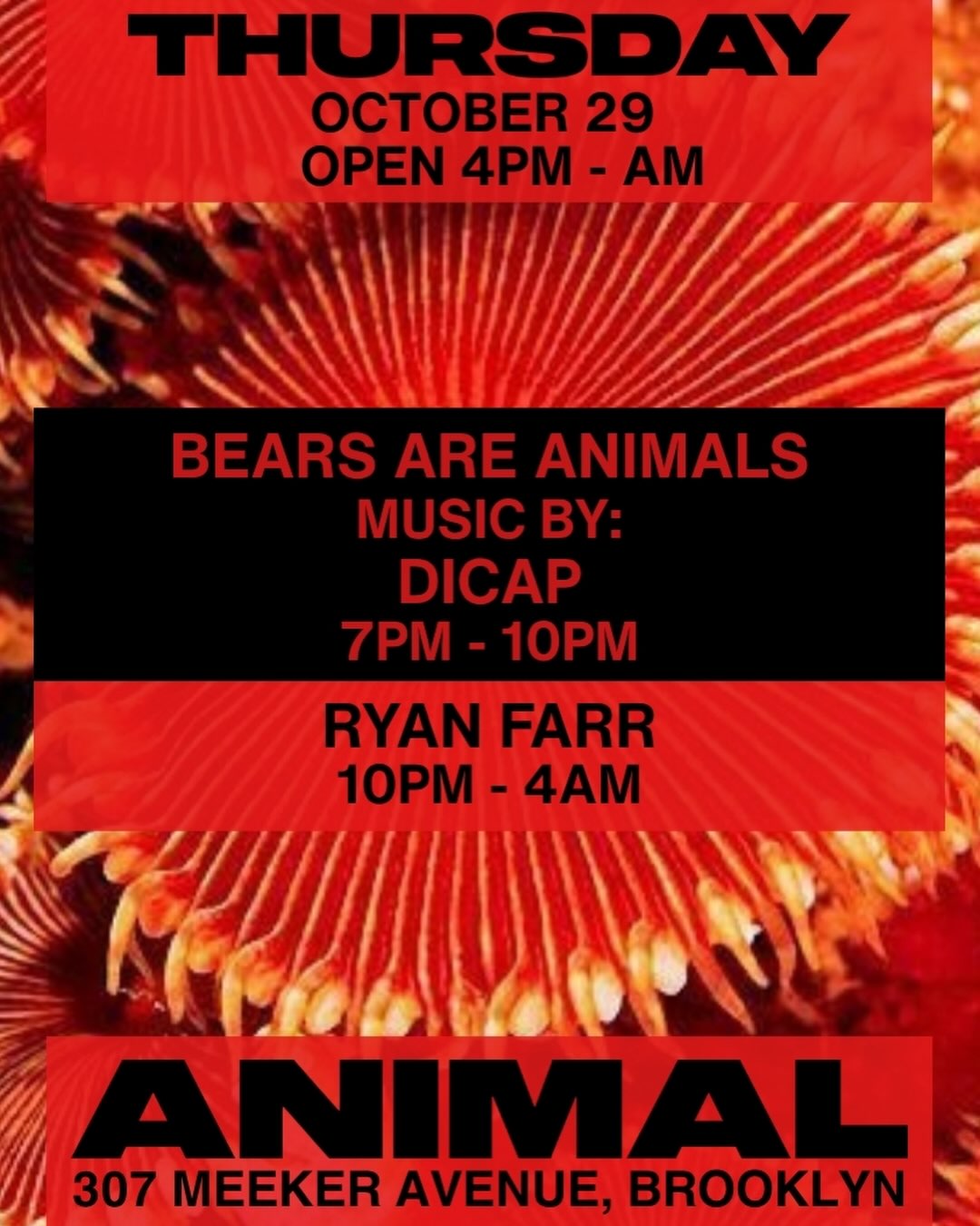 ANIMAL Thursday BEARS ARE ANIMALS w/ DiCap, Ryan Farr