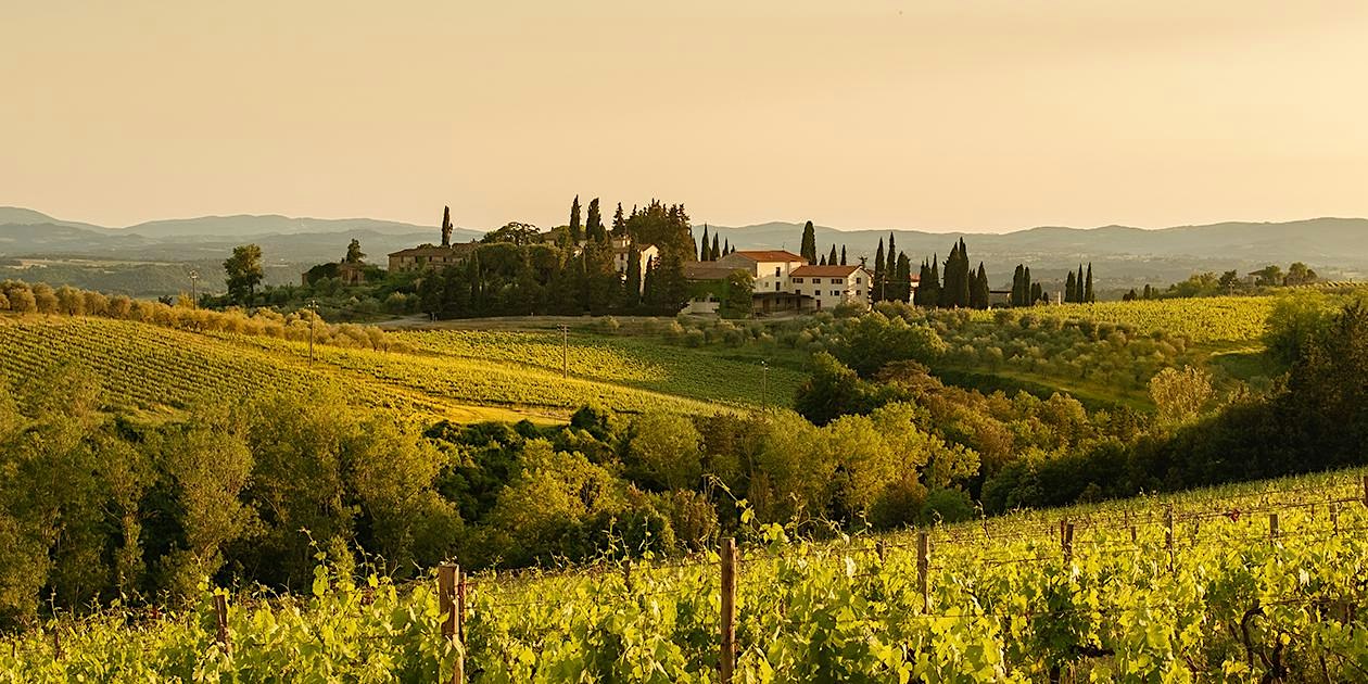 Uncorked: Tour of Barolo