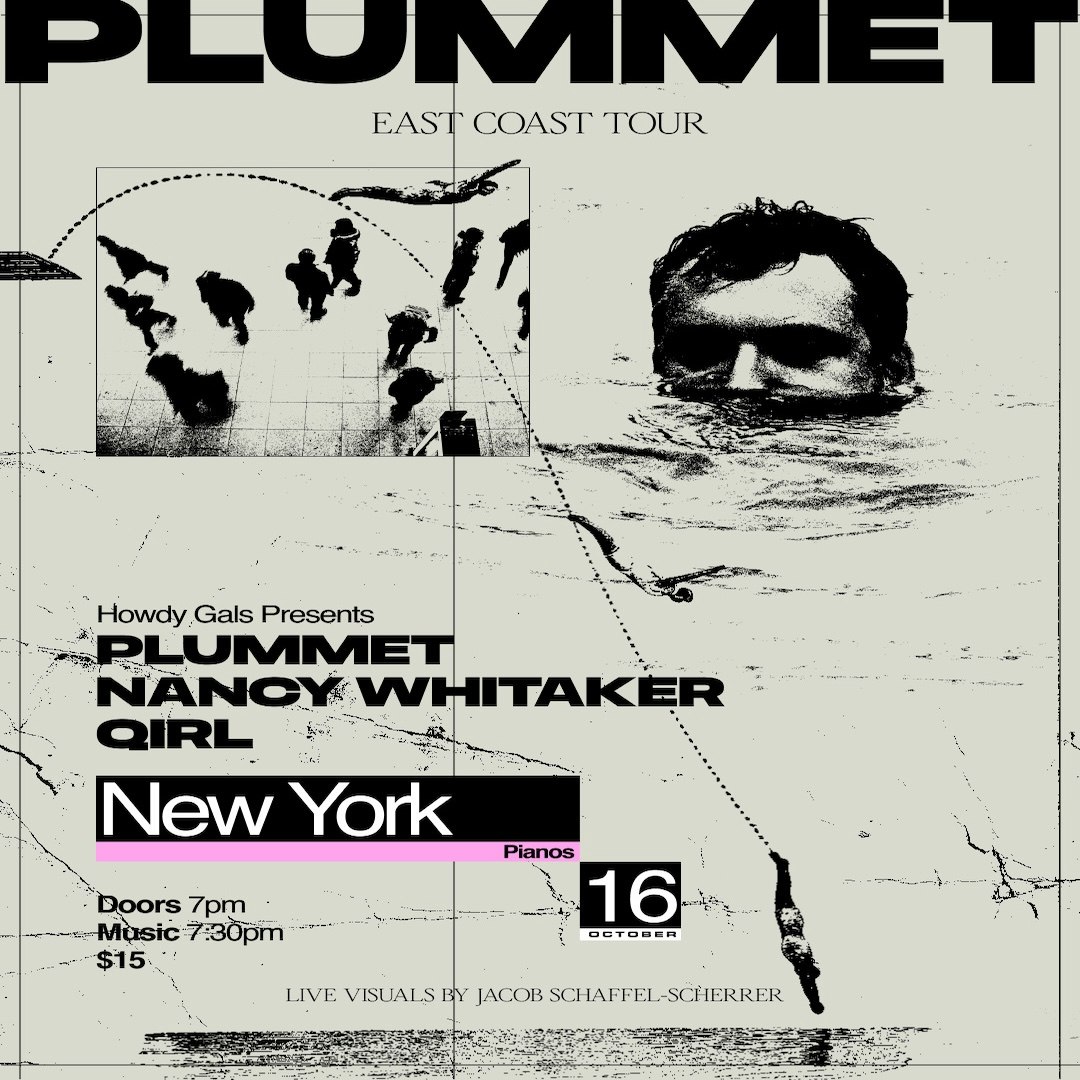 Plummet / Nancy Whitaker / QIRL