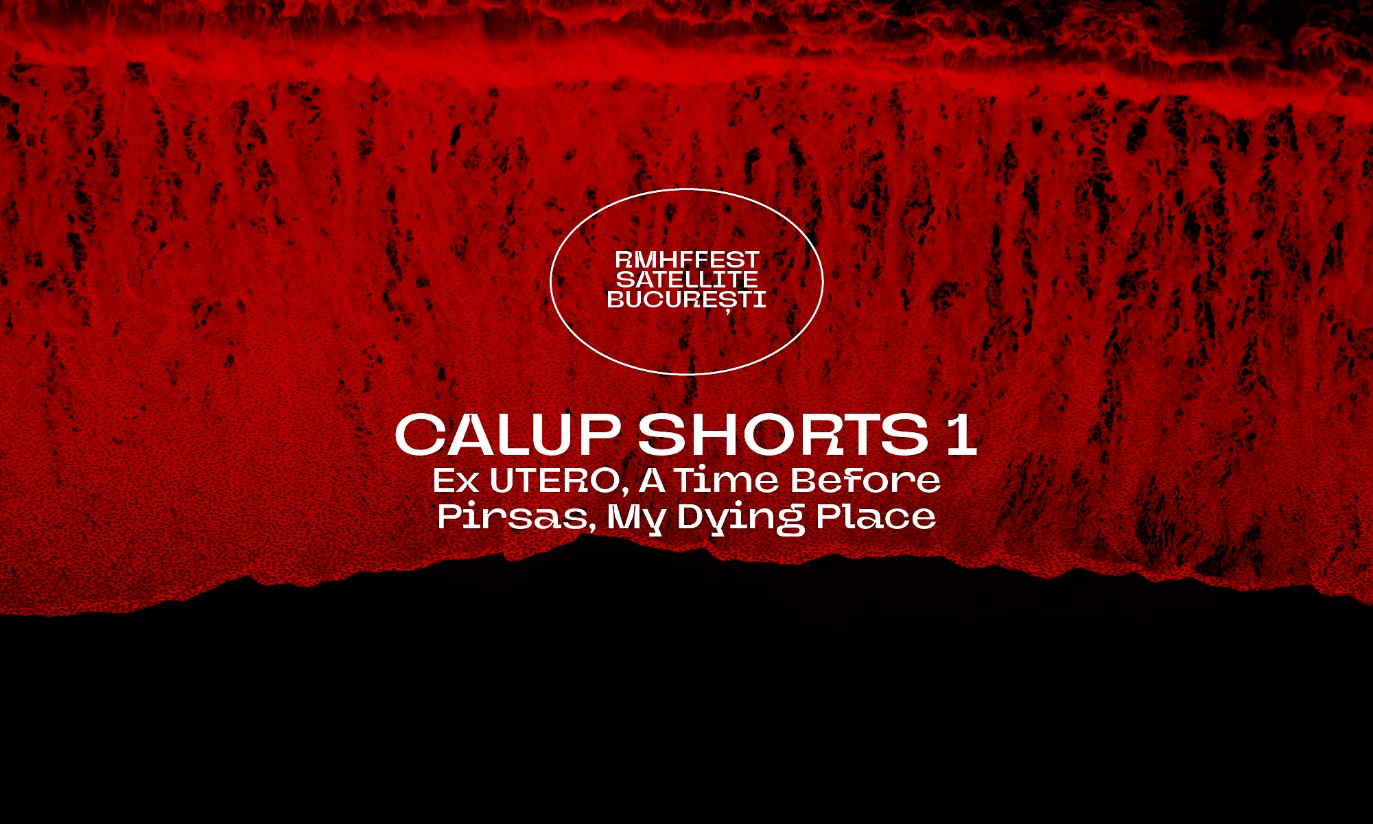 Shorts RMHFFest / Session 1 (1h 5m)