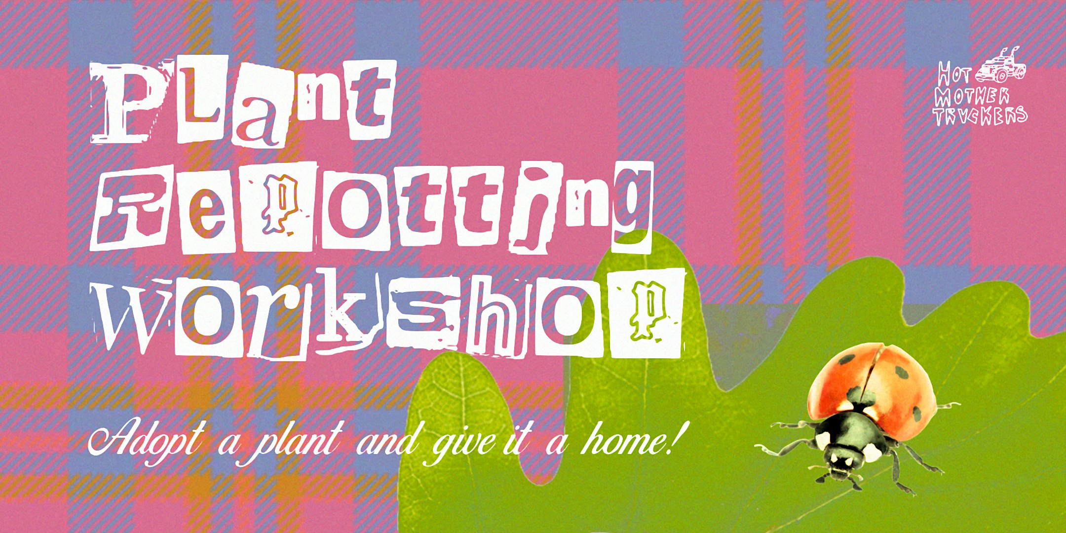 hotmothertruckers hangouts: plant repotting workshop