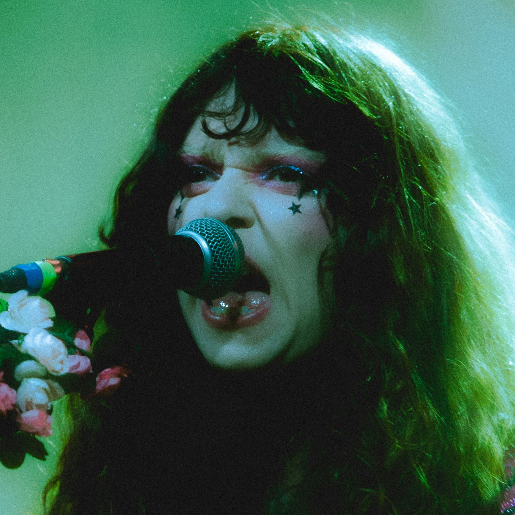 The Velveteers