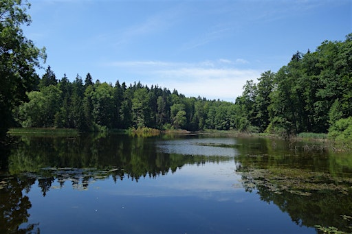 Alte Pfade, sieben Weiher, dichter Wald – eine  Tour in die Wildnis