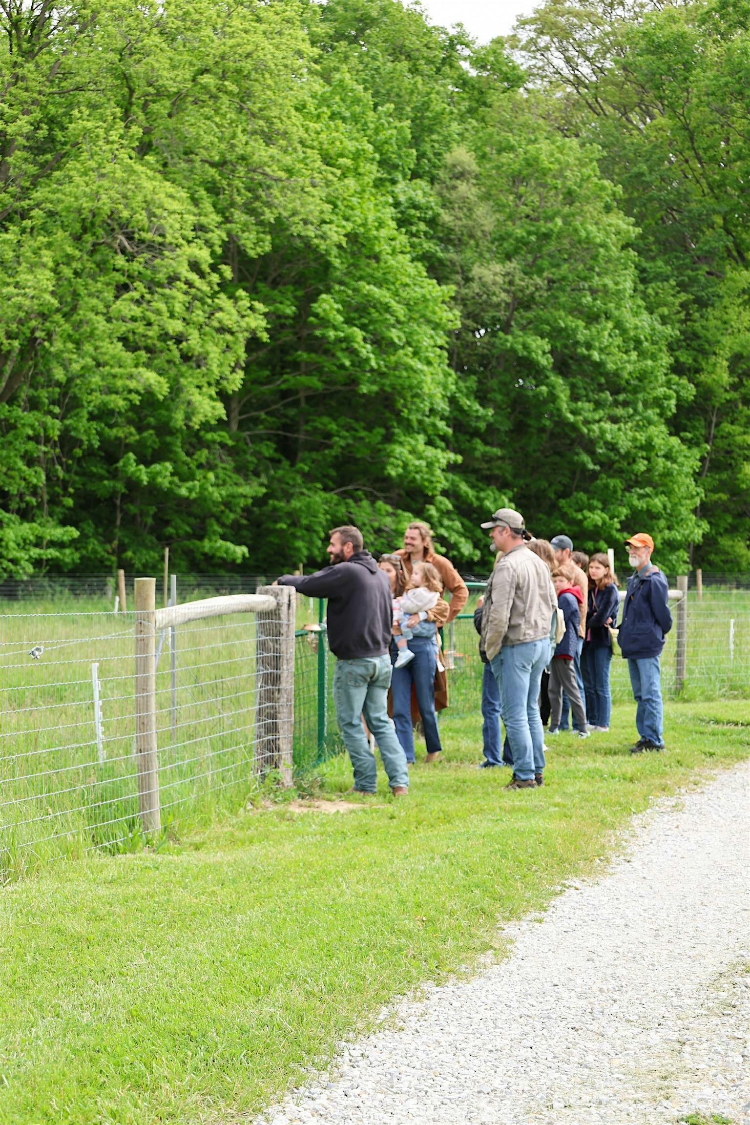 Seven Sons Pasture Walk Tour