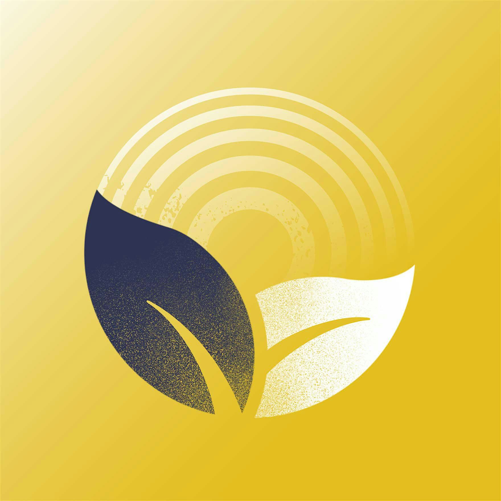 Policy priorities for sustainability