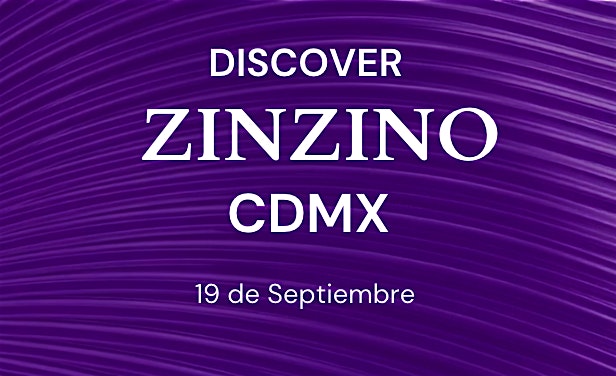 DISCOVER ZINZINO