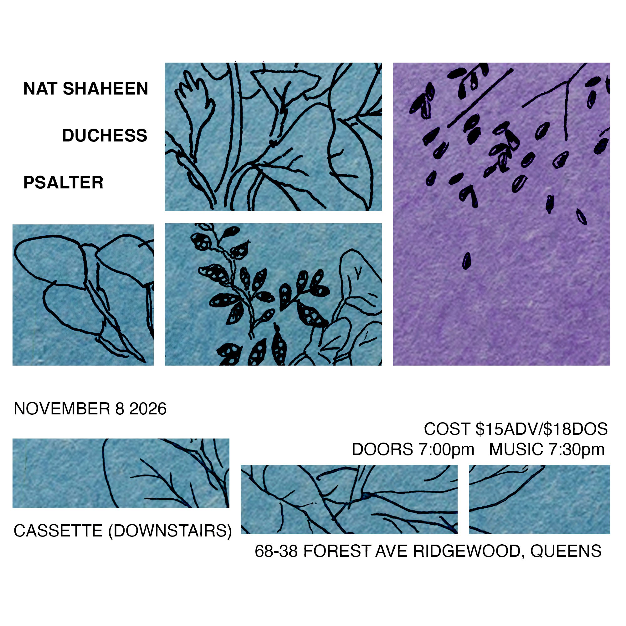 NAT SHAHEEN, DUCHESS, PSALTER