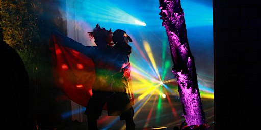 PARADE GOGO DANCERS - Dance with the Parade of Lost Souls in epic costumes!