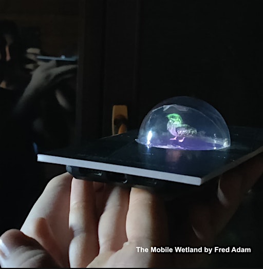 The Mobile Wetland