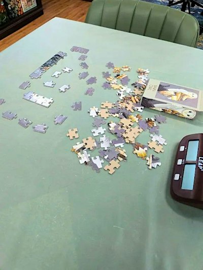 Speed Puzzling TEAMS Night: Competition & Collaboration