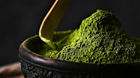 Matcha Cultivars, History, and Preparation!