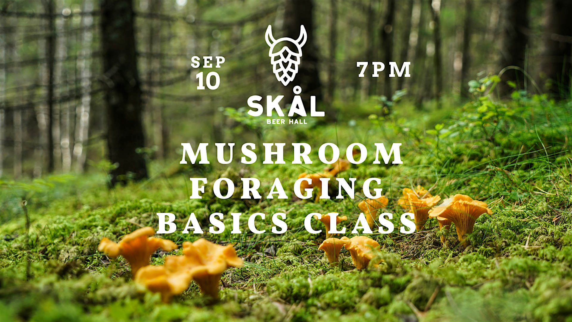 Mushroom Foraging Class - Learn the Basics!