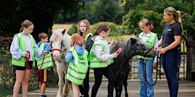 Halloween Kids Camp at NSPCA Dublin
