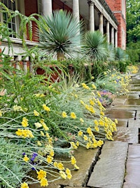 The Royal Parks: Gardening for People and Planet (LIVE)