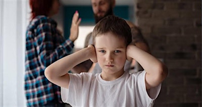 DCDVTF Lunch N' Learn Series- The Effects of Domestic Violence on Children