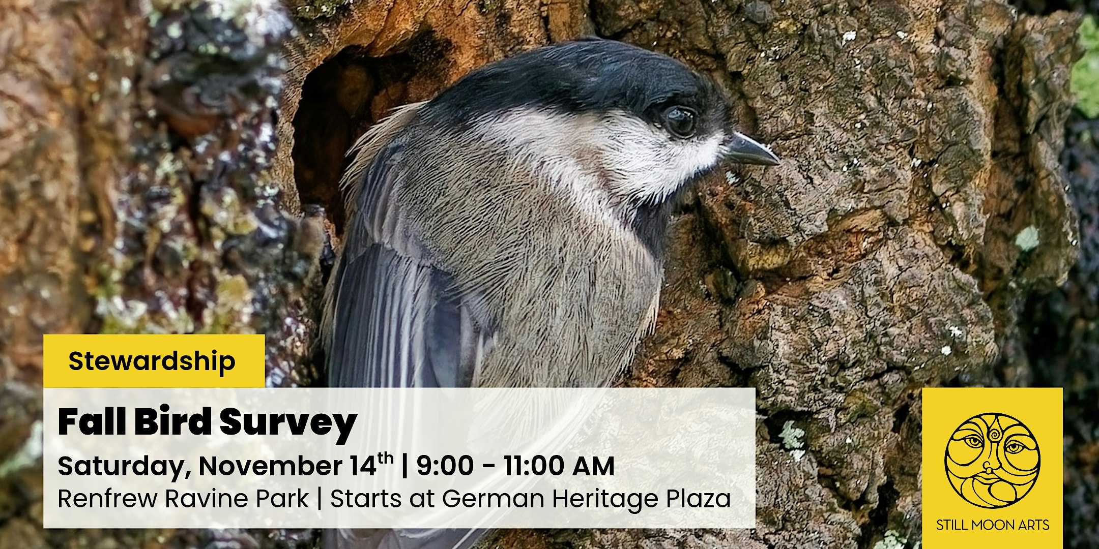 Fall Bird Survey