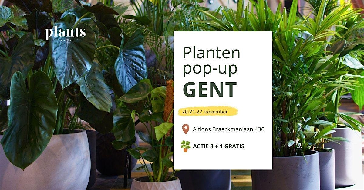 PLANTS MARKET Pop-up GENT