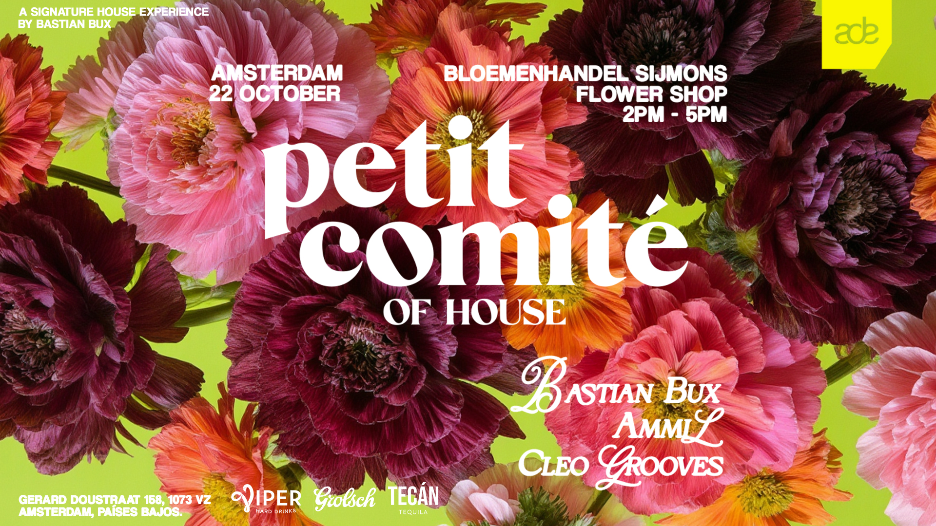 Petit Comité Amsterdam with Bastian Bux, Ammil, Cleo Grooves