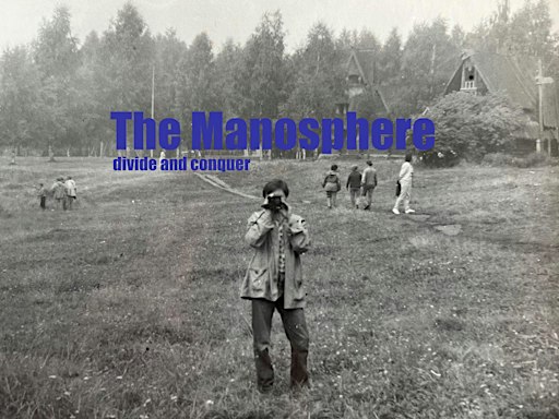 The Manosphere: Divide and Conquer